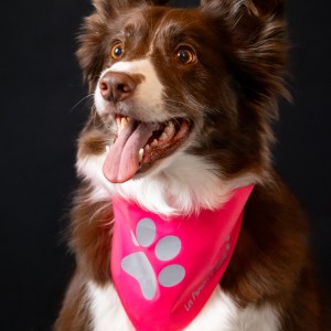 Bandana fluo